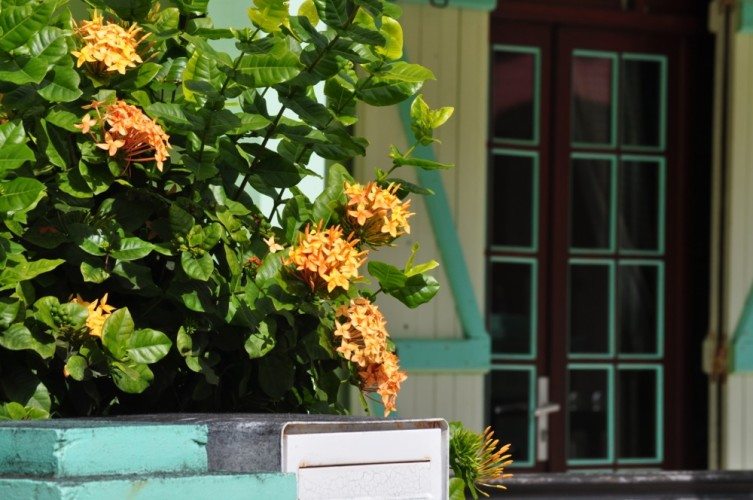 The Beautiful Caribbean - 29