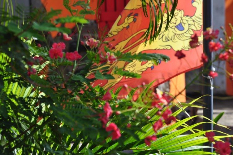 The Beautiful Caribbean - 21