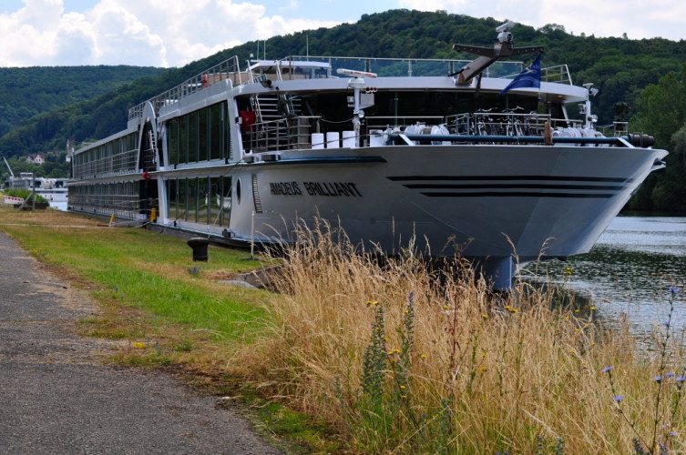 Amadeus Brilliant - 79