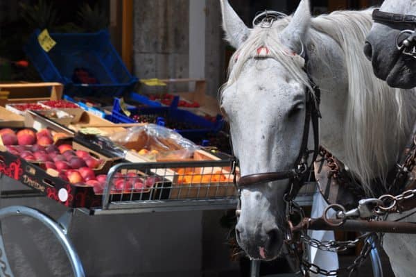 Rothenburg, Germany - 067