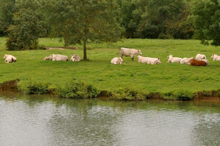 Day 7 Chalon-sur-Saone - 038