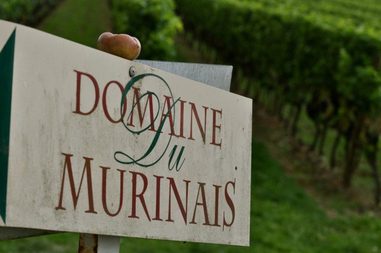 Tournon Gallery - 16