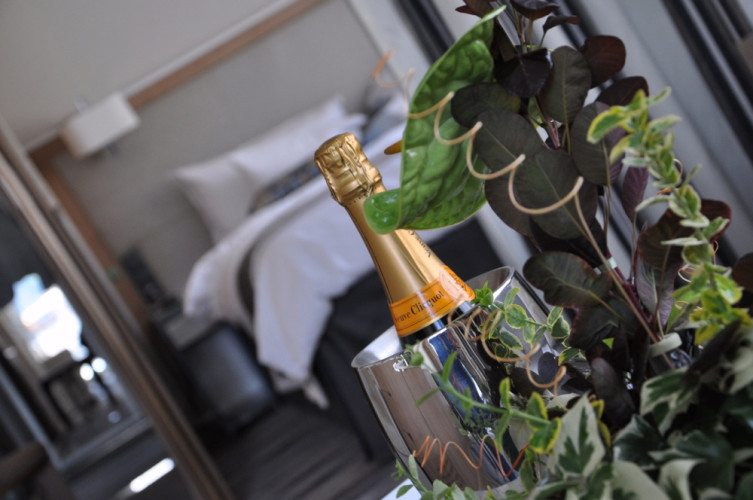 Viking Explorers Suite - 34