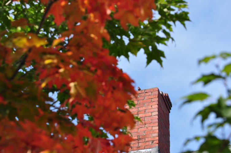 Bar Harbor, Maine - 14