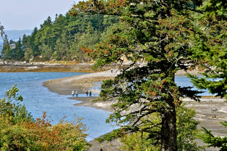 Bar Harbor, Maine - 16