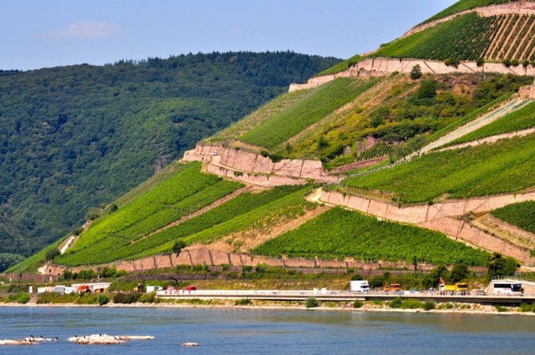 Along the Scenic Rhine - 003