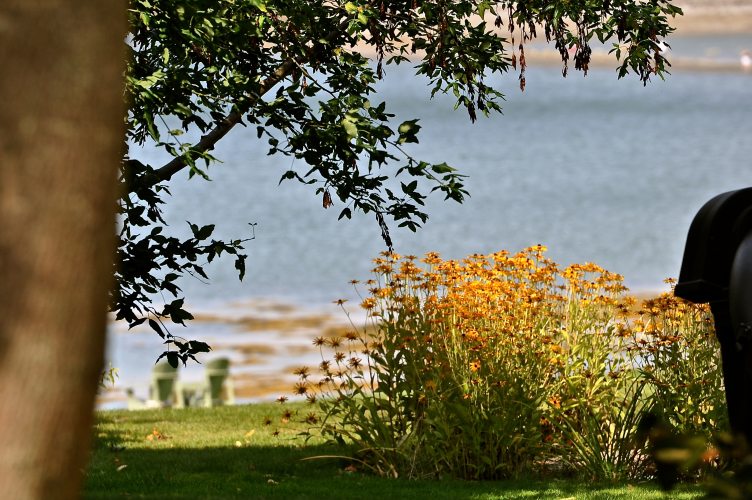 Bar Harbor, Maine - 32