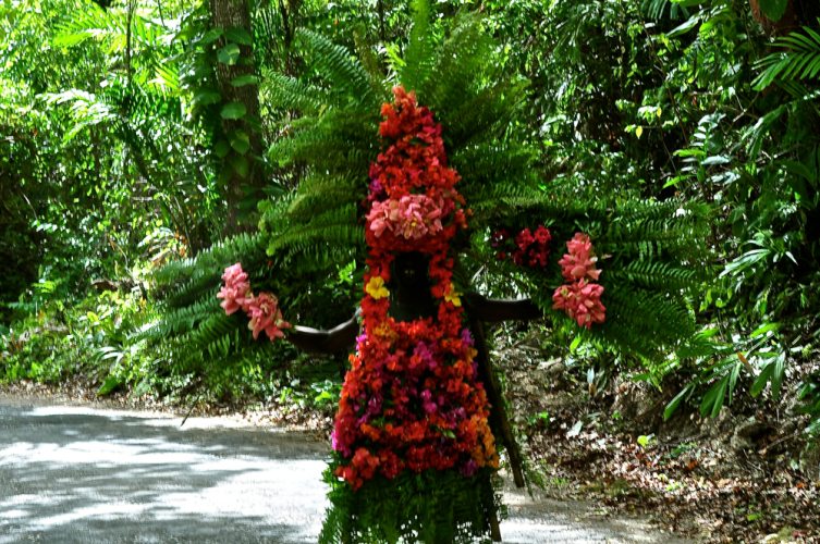 Ocho Rios, Jamaica - 113