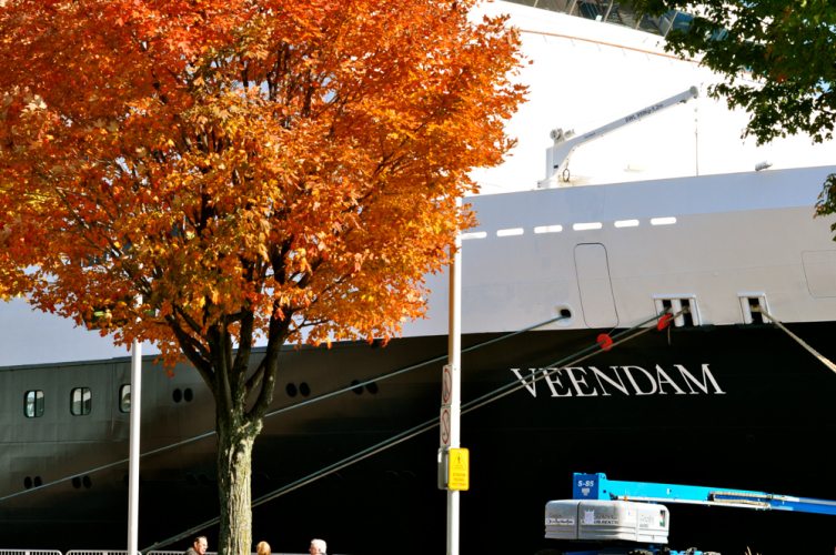 Veendam In Quebec City - 05