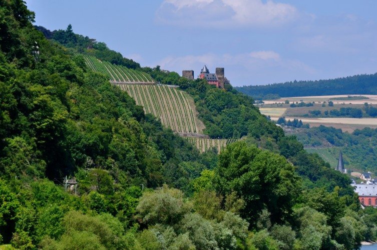 Along the Scenic Rhine - 248