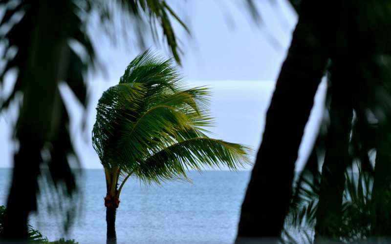 Hawks Cay Resort - 088