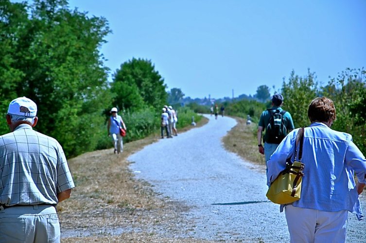 Playing Like Kids On the River Danube - 35