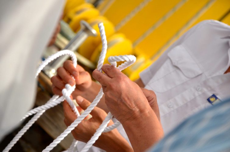 Royal Clipper - Whitney - 55