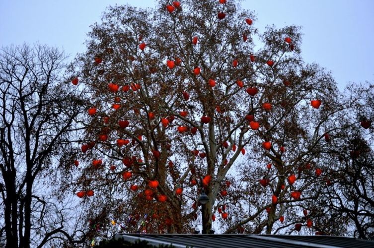 Vienna Christmas Market - 27