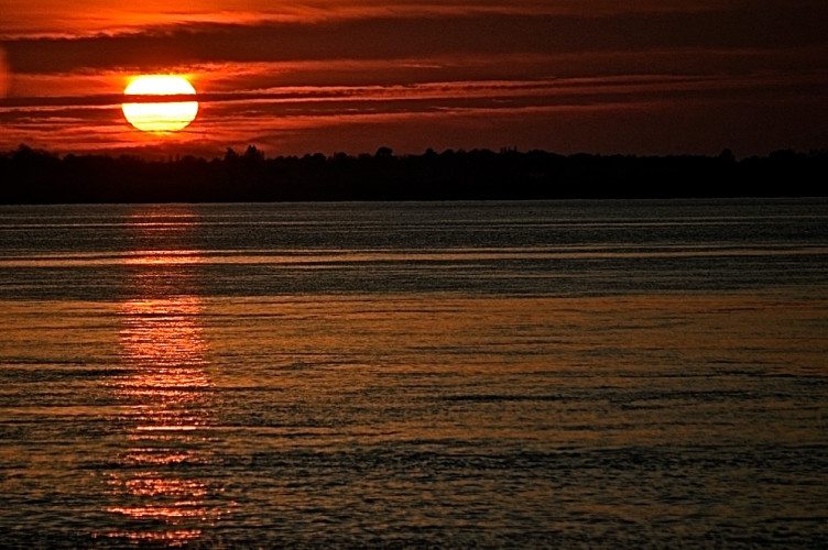 Bordeaux Wine Tour - 187