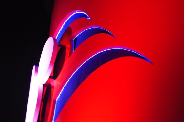 Disney Cruise Line - 086