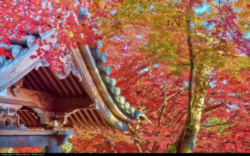 16230410975_7e4965d906_k