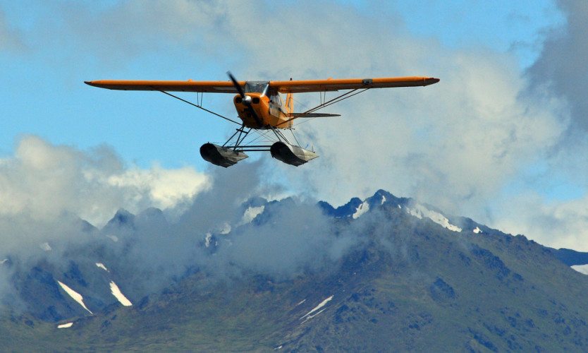 Flickr photo - Frank Kovalchek