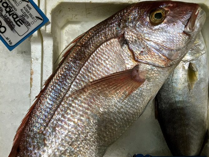 Chefs In Amalfi   - 374