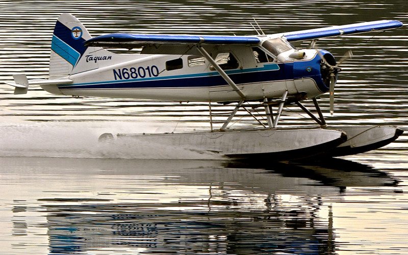 Crab Feast Flyby - 113