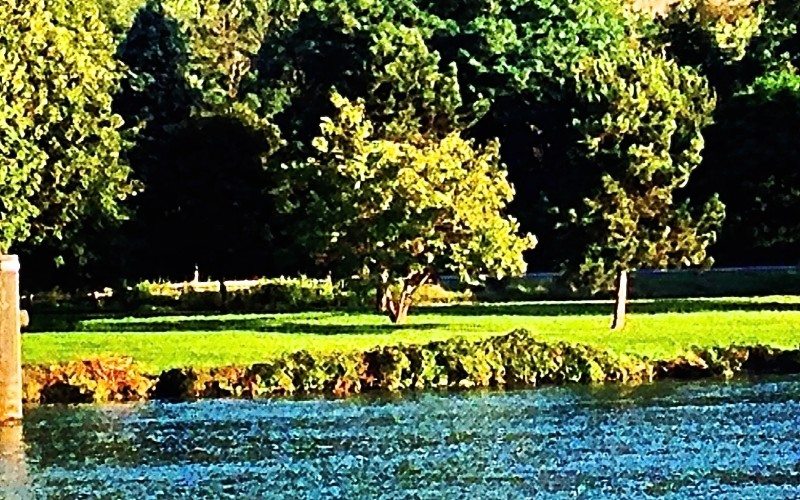 VIK Tournon, France - 00292