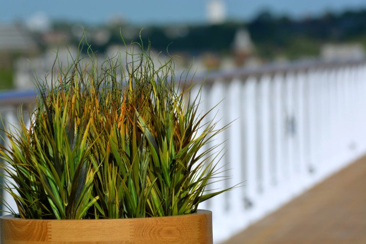 Viking Star Exterior Spaces - 126