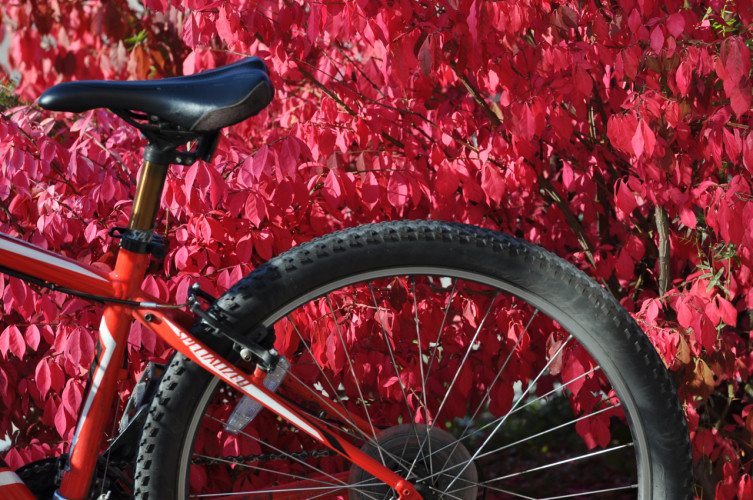 CRY Baie Comeau - 00035