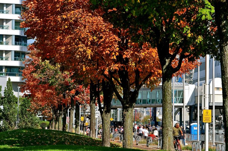 CRY Quebec City - 00087