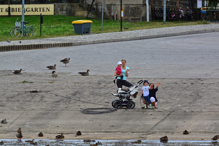 Elbe Scenic Cruising - 179