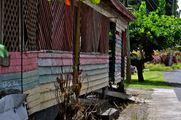 STR Cabrits, Dominica - 00048