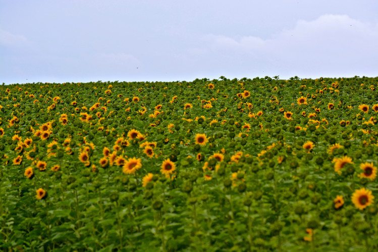 Seen On The Bus - 02