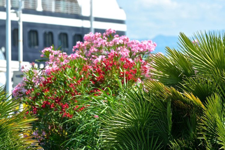 Zadar, Croatia - 067