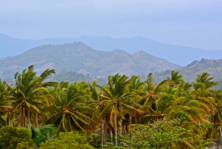 Fathom Impact Travel