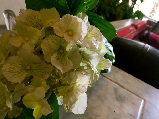 Amman Lunch At Al Reef Al Lebani - 61