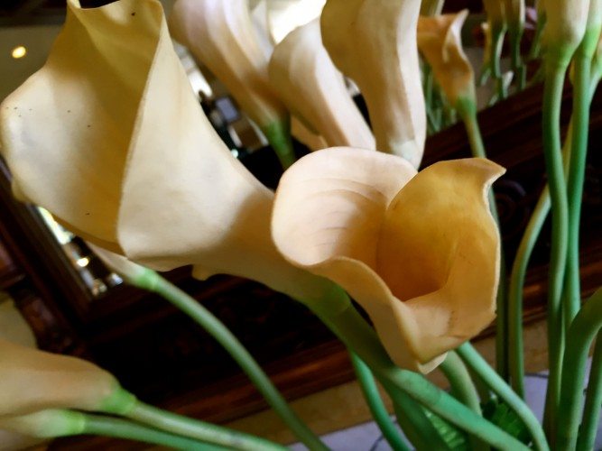 Amman Lunch At Al Reef Al Lebani - 63