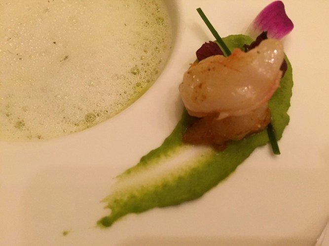 Europa 2 Culinary - 49