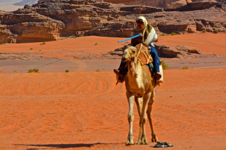 Wadi Rum - 311