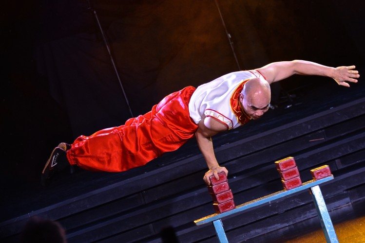 Hong Kong Lion Dance Group - 008