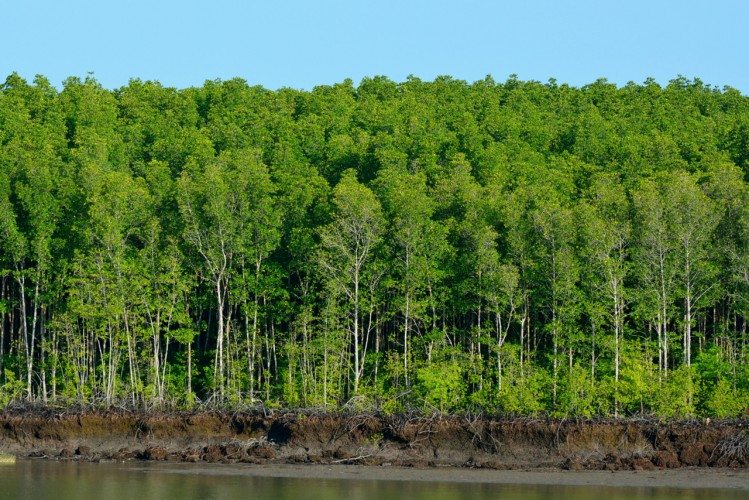 On The Mekong River - 11