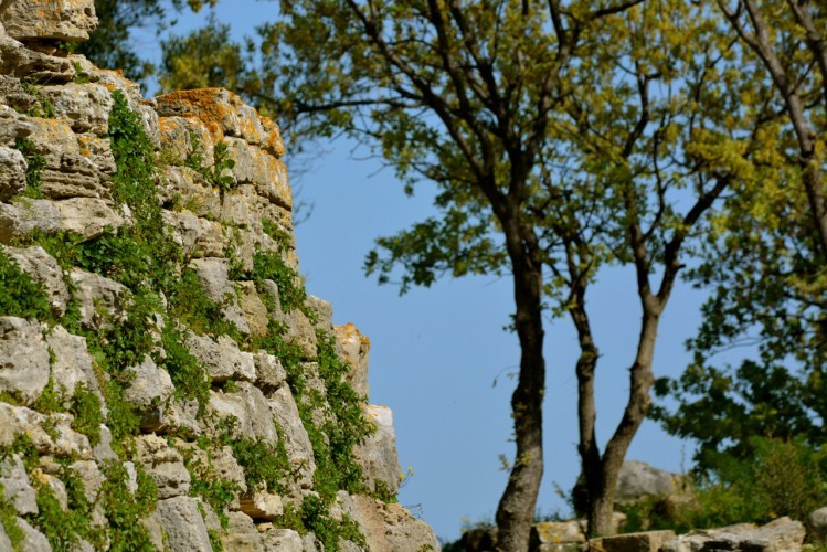 Viking Ocean Cruises