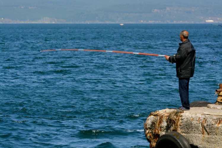 Viking Ocean Cruises