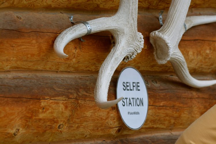 Following Along Socially