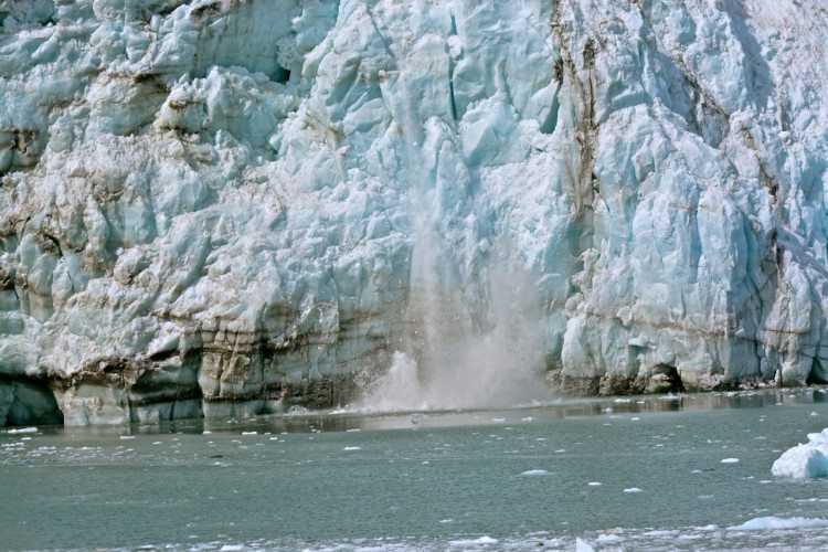 Glacier Bay In Photos - 19