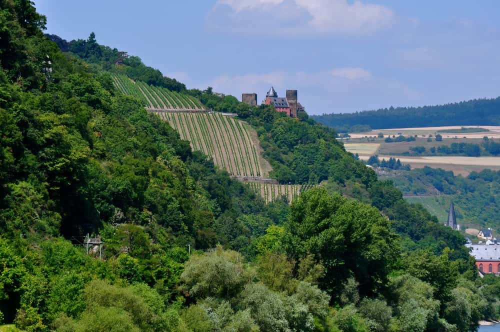 Holiday River Cruise