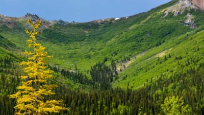 Increased Alaska Demand