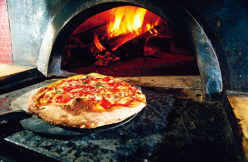 Holland America Experience