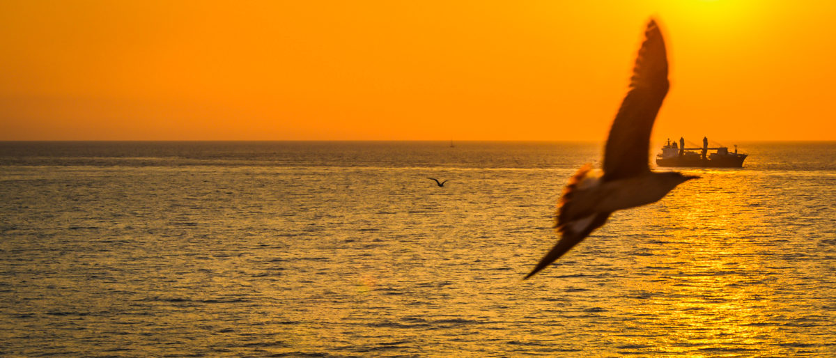 Seabourn Europe 2019