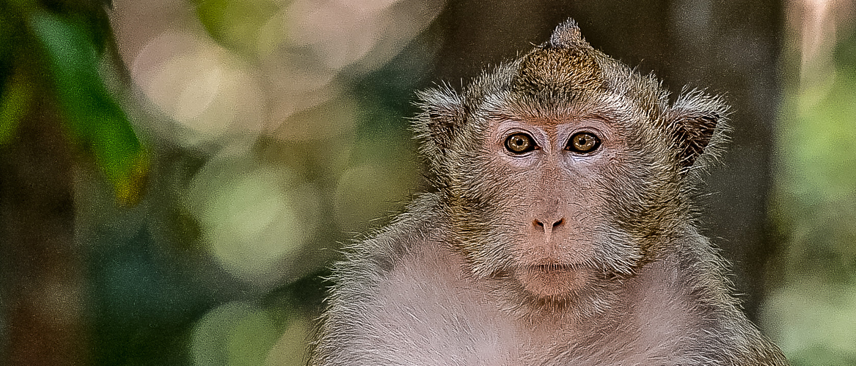 INTERNATIONAL TRAVEL