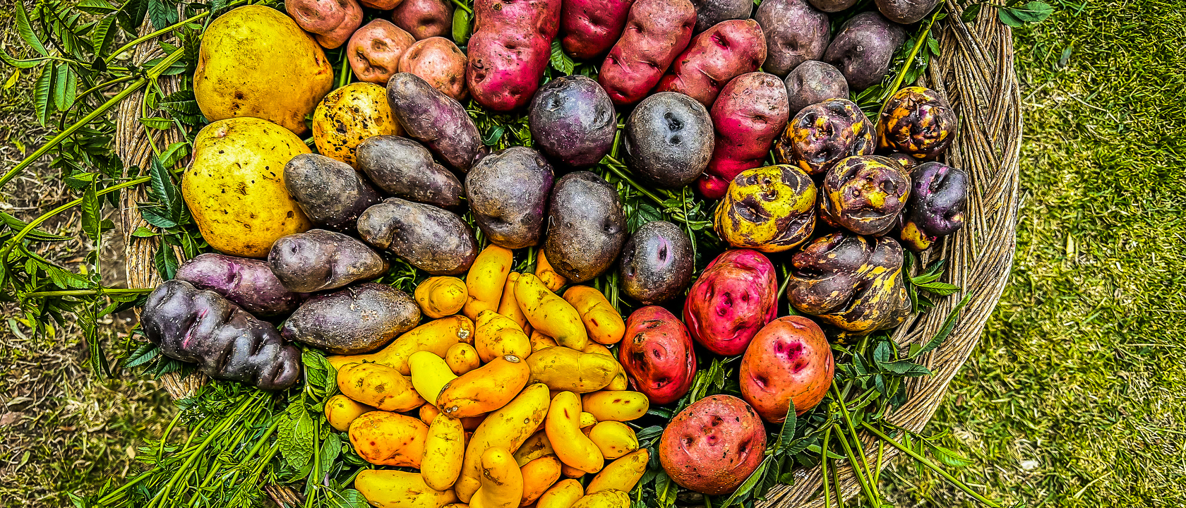 DINING AROUND THE WORLD