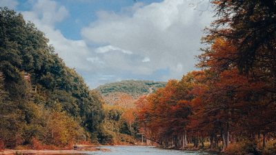 photo of a river between trees